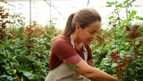 Floristería-Femenina-Cuidando-Flores-En-Invernadero