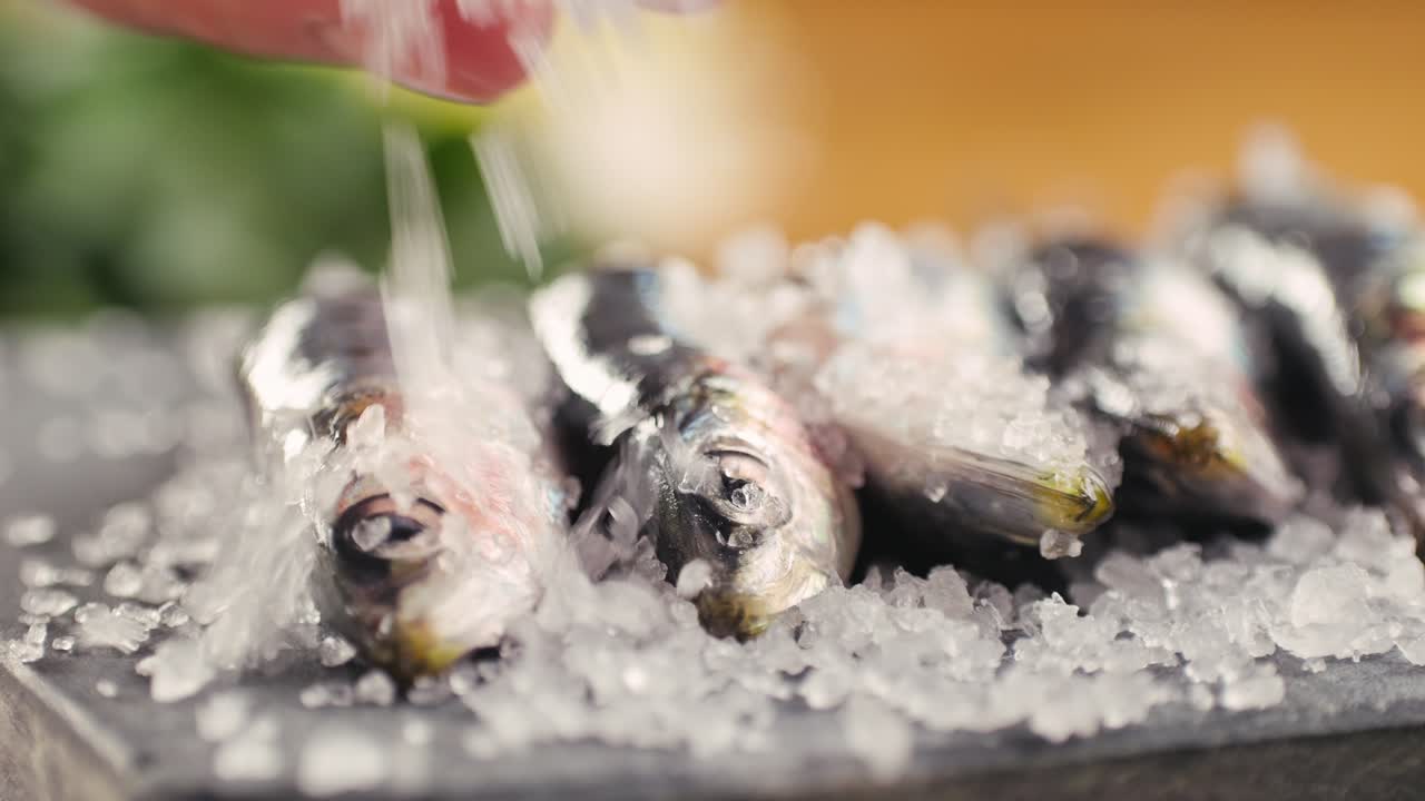 Fresh Sardines on Ice