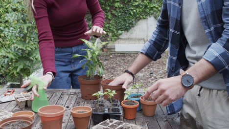 Midsection-of-diverse-couple-planting-seeds-in-garden,-slow-motion