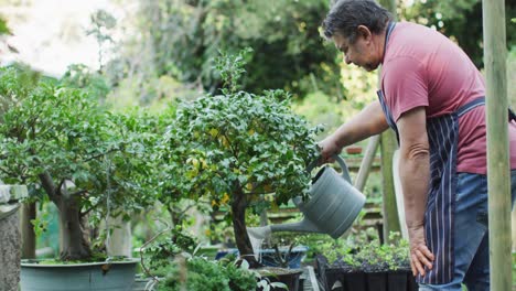 Caucasian male gardener watering plants at garden center