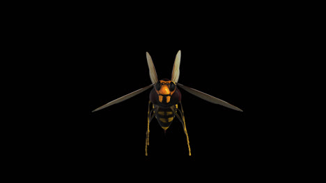 3d model of a hornet