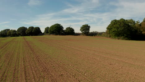 Low-dolly-forward-aerial-shot-over-freshly-planted-field