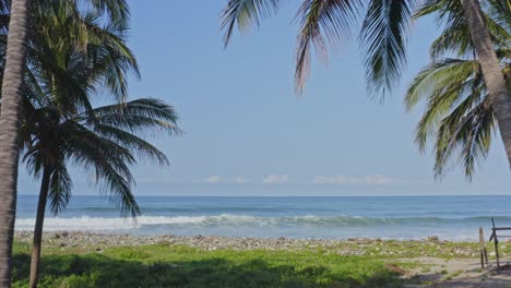 beautiful surfing beach, aerial reveal through palm trees, tropical coast