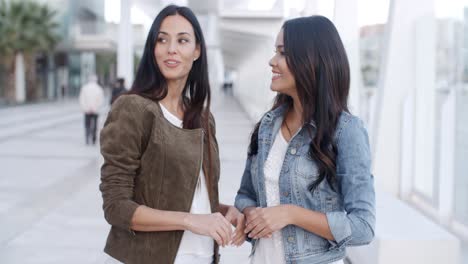 Two-Beautiful-Ladies-Chatting