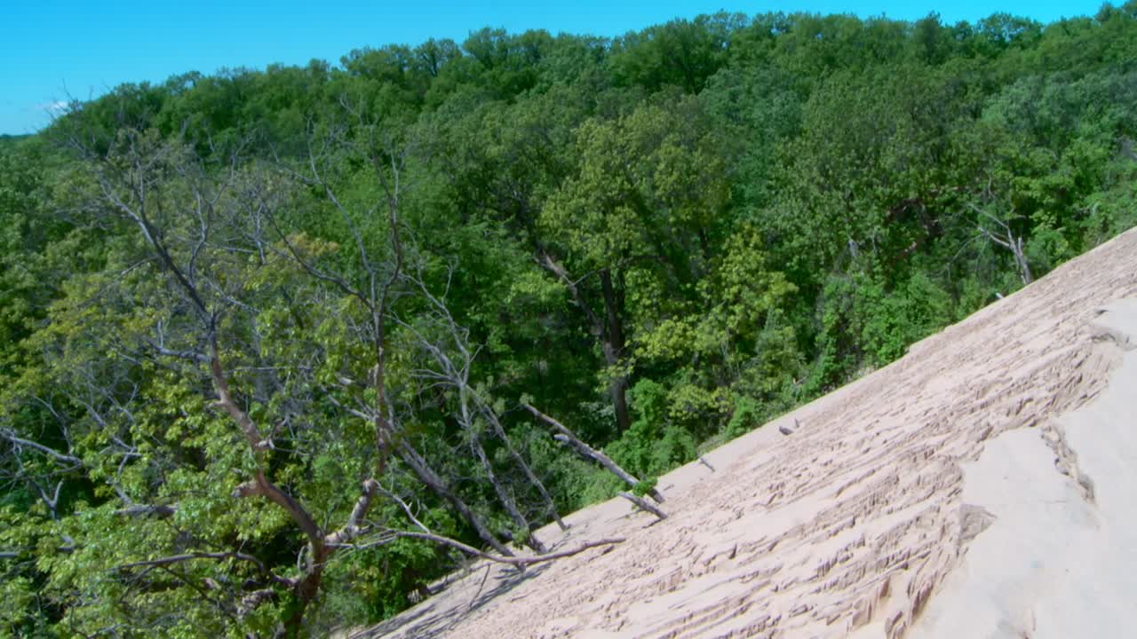 Sand Dunes And Dense Forest In Indiana Dunes National Park In USA. - pan left shot