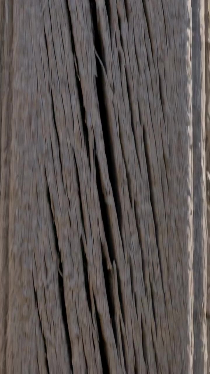 Video verticale: Telecamera che si sposta scivolando lungo un palo consumato dalle intemperie a livello del suolo, rivelando profonde crepe.