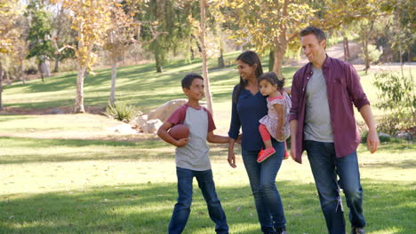 familia de raza mixta caminando en un parque, vista delantera