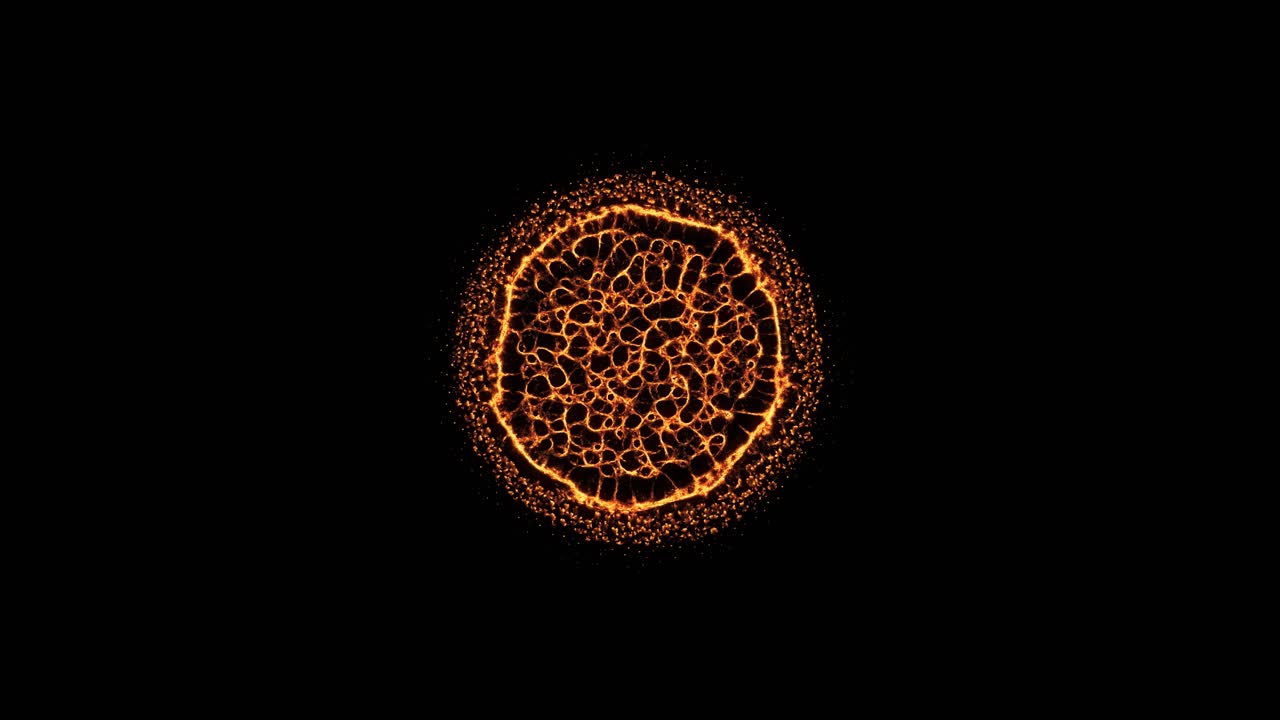 expansión del crecimiento circular de la red de raíces orgánicas