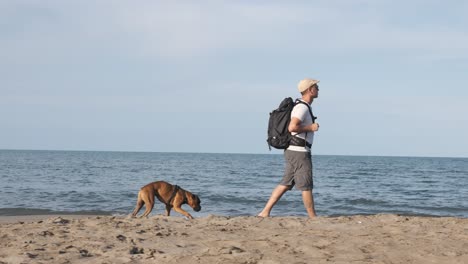 traveling man with his boxer dog walking on the beach. slow motion