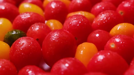 fresh cherry tomatoes beautifully laid out and sprinkled with water drops fresh cherry tomatoes beautifully laid out and sprinkled with water drops