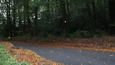 hojas de otoño cayendo en cámara lenta con bosque en segundo plano