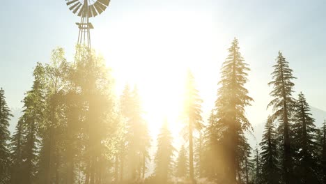 Typical-Old-Windmill-turbine-in-forest-at-sunset