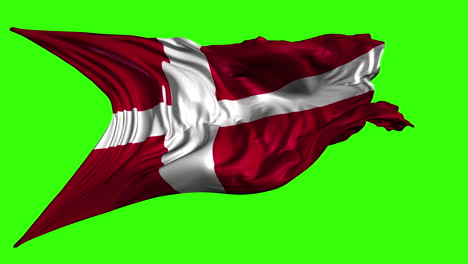the danish flag