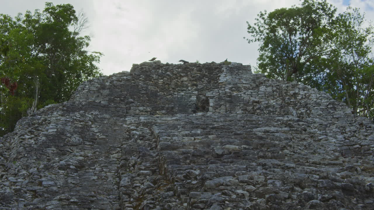 Exploring the Mayan Ruins: Ancient Pyramid in Lush Jungle