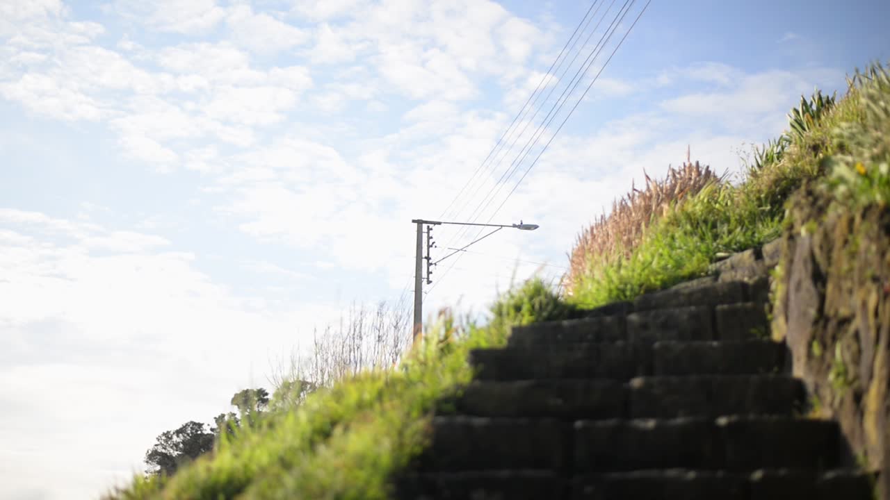 Rocky stairs leading up a lush green slope in soft morning light at Narrow Neack beach, Auckland