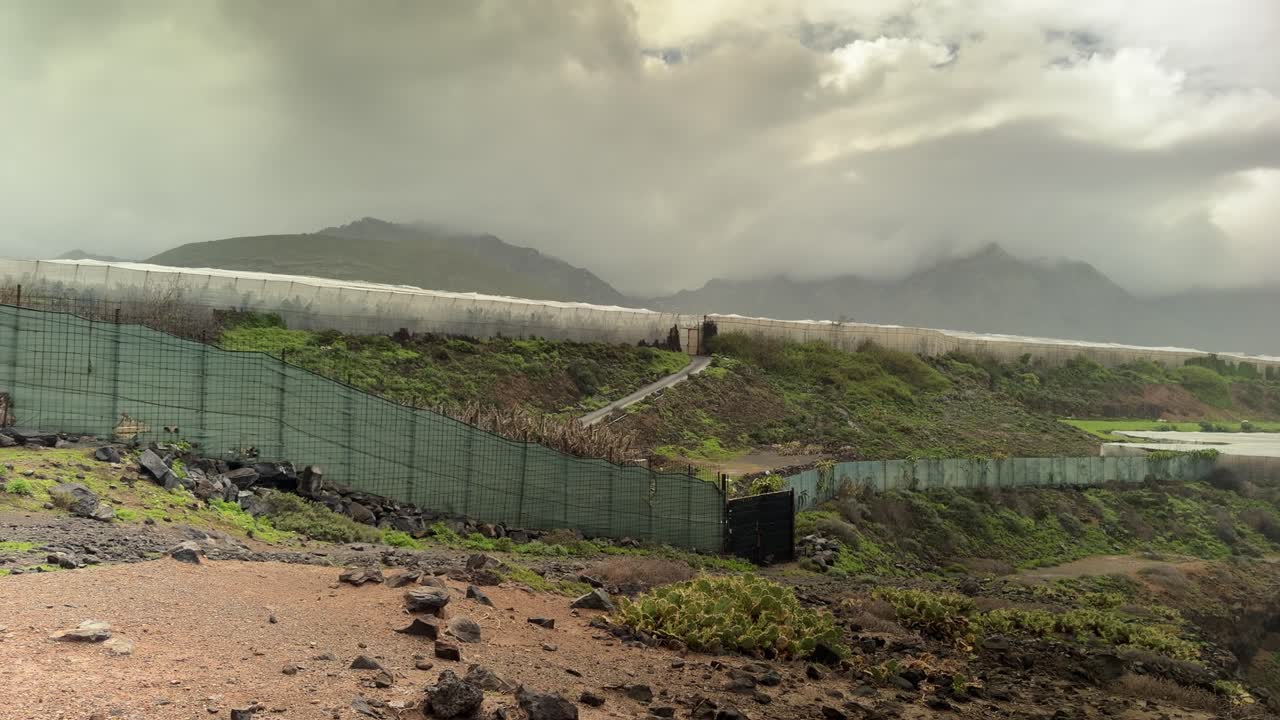 Pemandangan indah perkebunan pisang di Buenavista, Teneriffa di bawah langit berawan.