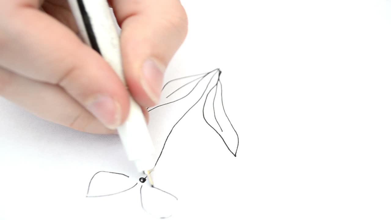Flower drawing. Drawing on a flower