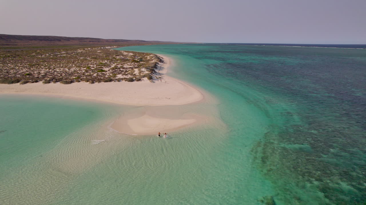 Ein Paar rennt über eine Sandbank ins klare Wasser der Turquoise Bay, Cape Range National Park, Australien, während zwei Meeresschildkröten in der Nähe schwimmen und so die menschliche Präsenz und das Meeresleben an der Ningaloo Coast zeigen