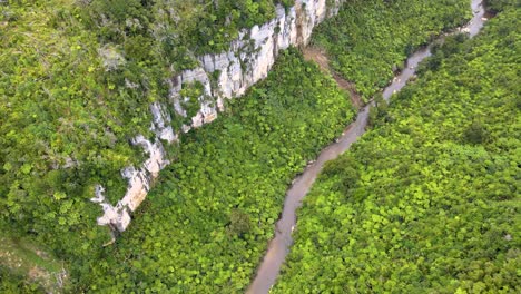 Pororari-River,-West-Coast,-New-Zealand