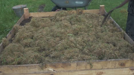 raking hay over raised garden bed as mulch