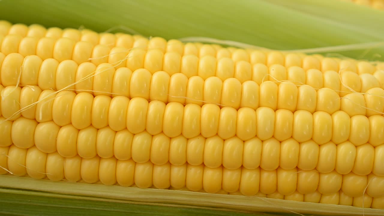 Corn, shooting of macro. Shooting in the movement