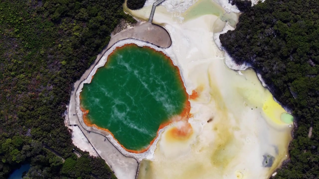 Letecký pohled shora na nápadnou geotermální oblast poblíž Rotorua na Novém Zélandu, kde bledé minerální usazeniny, žlutá jezírka a hustý zelený les vytvářejí neobvyklou přírodní barevnou paletu