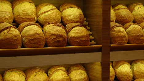 freshly baked loaves of bread displayed on bakery shelves