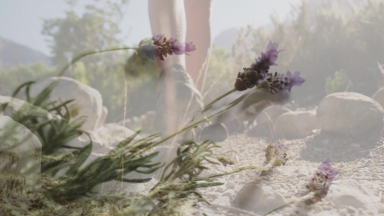 Escursionista maschio che cammina verso l'obiettivo come una debole silhouette che scende con gli scarponi, overlay di viaggio che mostra lavanda