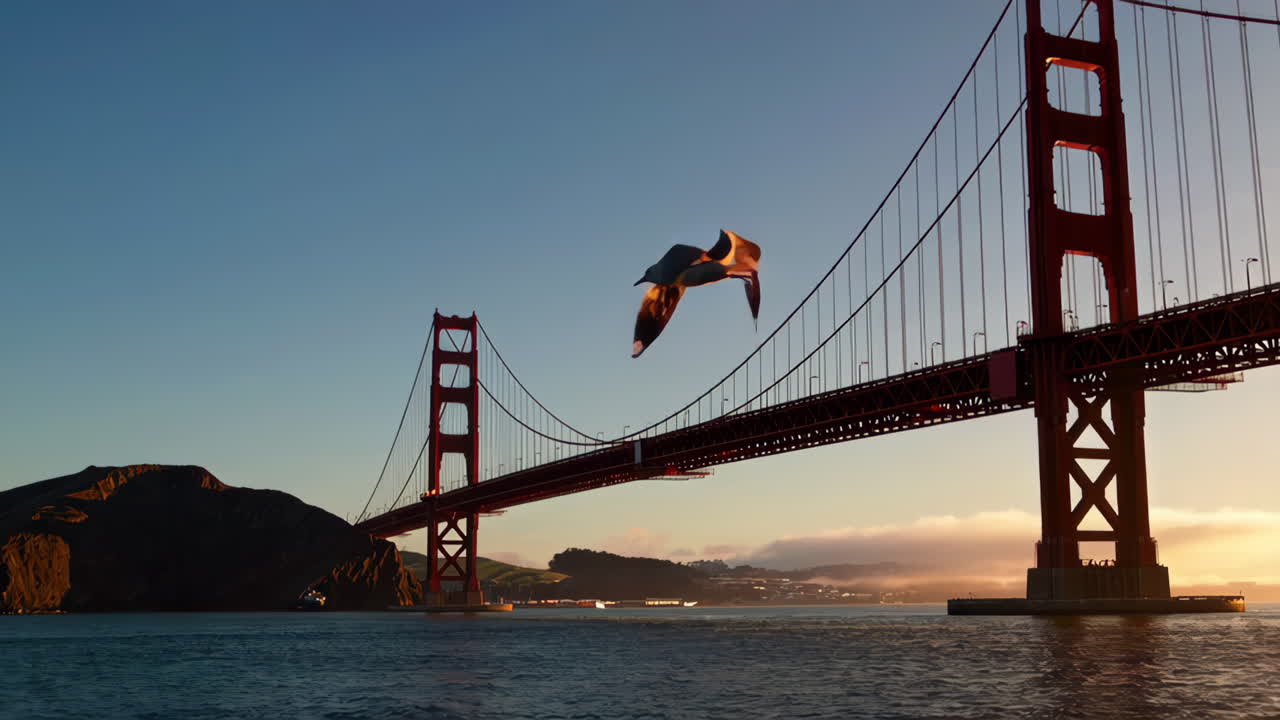 Golden Gate Bridge at Sunrise with Seagull