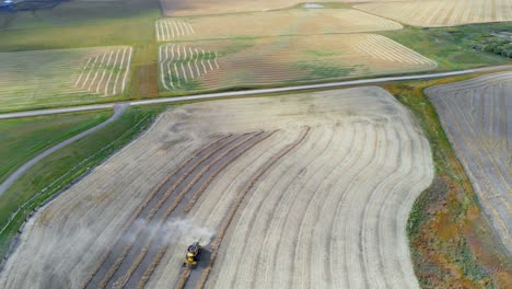 Combine-harvester-harvesting-the-crops-in-field-4k