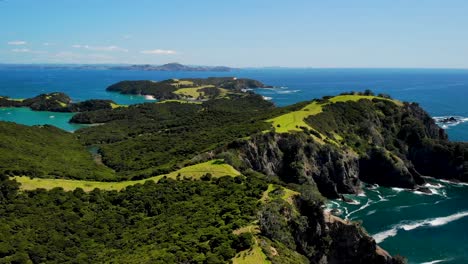 Grüne-Bäume-Im-Wald-Auf-Der-Insel-Urupukapuka-Mit-Wellen,-Die-Sich-An-Einer-Dramatischen-Klippe-In-Neuseeland-Brechen