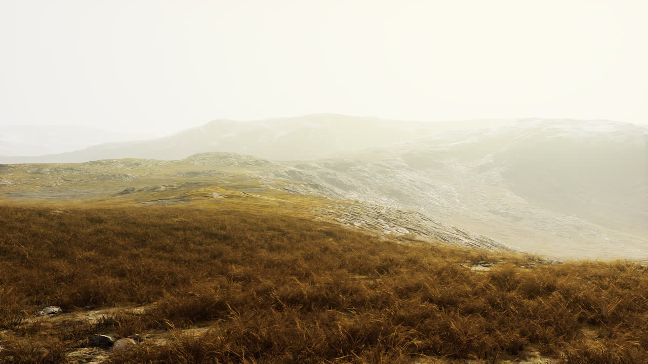 네팔의 밝은 하늘 아래 풀과 모스로  ⁇ 인 돌