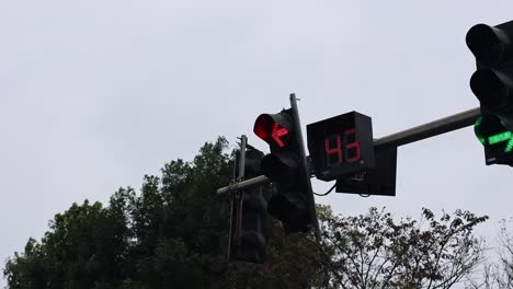 traffic light changes from red to green