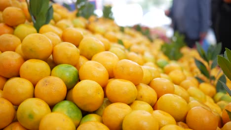 fresh oranges at the market