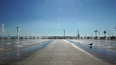 a crow quenches its thirst at a water fountain on the promenade before blue sky