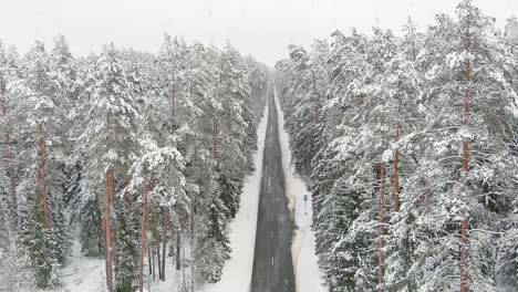 magical christmas road and woodland covered in snow during snowfall, aerial view