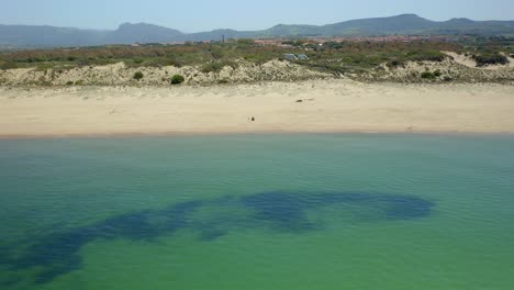 playa de arena con agua verde ondulada