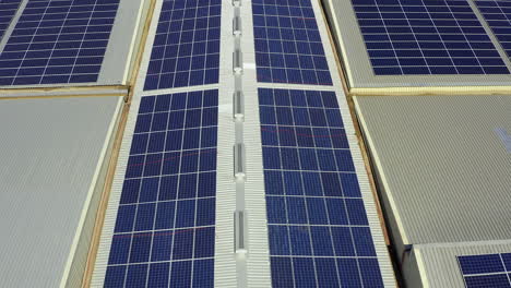 solar-panels-outdoors-on-a-farm