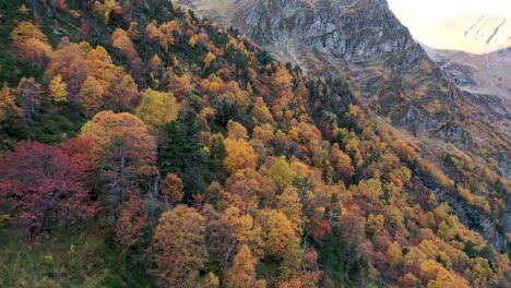 colorful forest in the fall season at lac d'espingo lake in haute-garonne, pyrénées mountains, france, aerial flyover shot