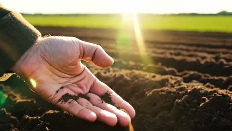 farmer planting seeds in a field