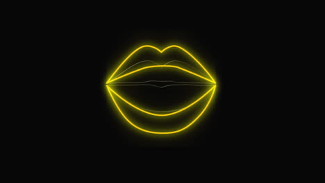 el contorno brillante de los labios