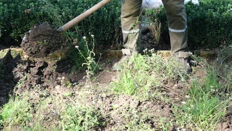 hombre cavando en el jardín