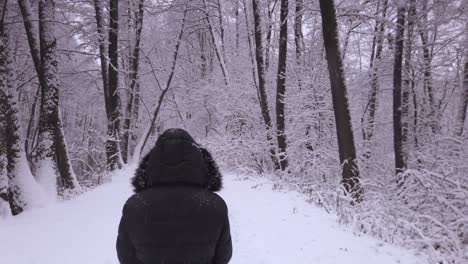 Vermummte-Person-Im-Schwarzen-Mantel,-Die-Auf-Verschneitem-Waldweg-Geht---Dolly-Vorwärts