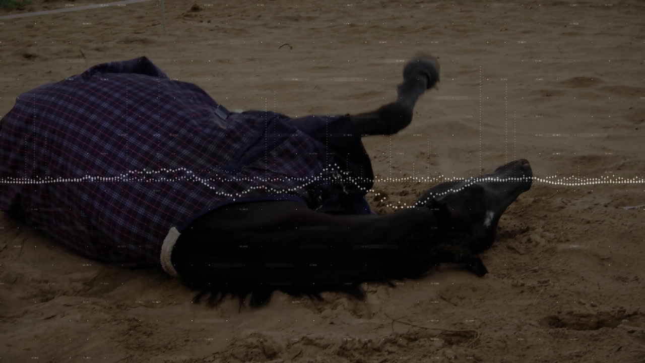 Person liegt an einem Sandstrand, trägt eine rot-schwarz karierte Jacke, neben einem Seehundbaby im Flat Design