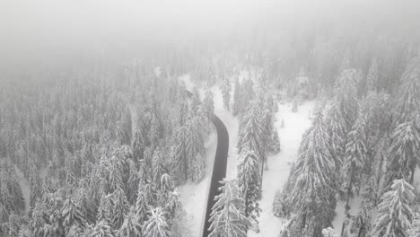 car drives through winter wonderland on foggy day