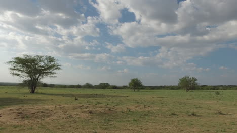 driving wide shot through the african countryside desert-04