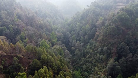 flying up a tree covered valley in the hills of nepal