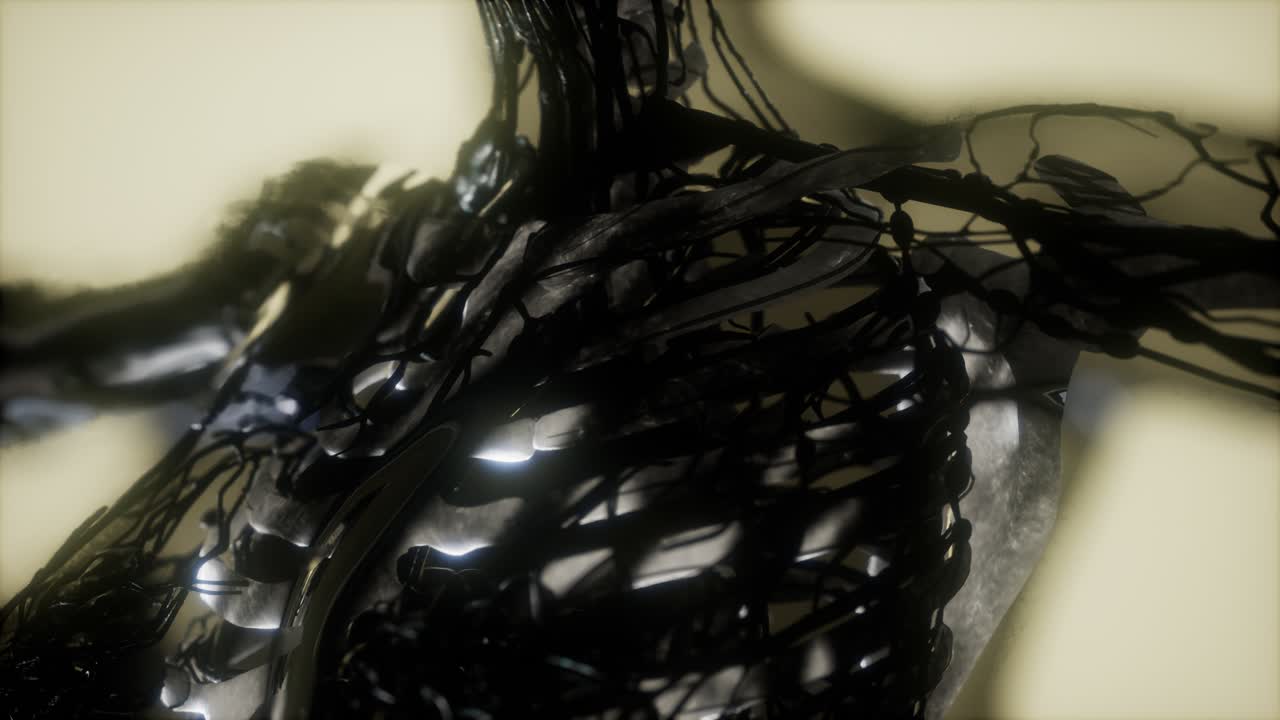 los huesos del esqueleto humano escanean brillando