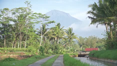 a scenic view of a tropical countryside featuring a lush green landscape, palm trees, and mountain in the background. a small irrigation canal beside narrow concrete path under the clear morning sky.