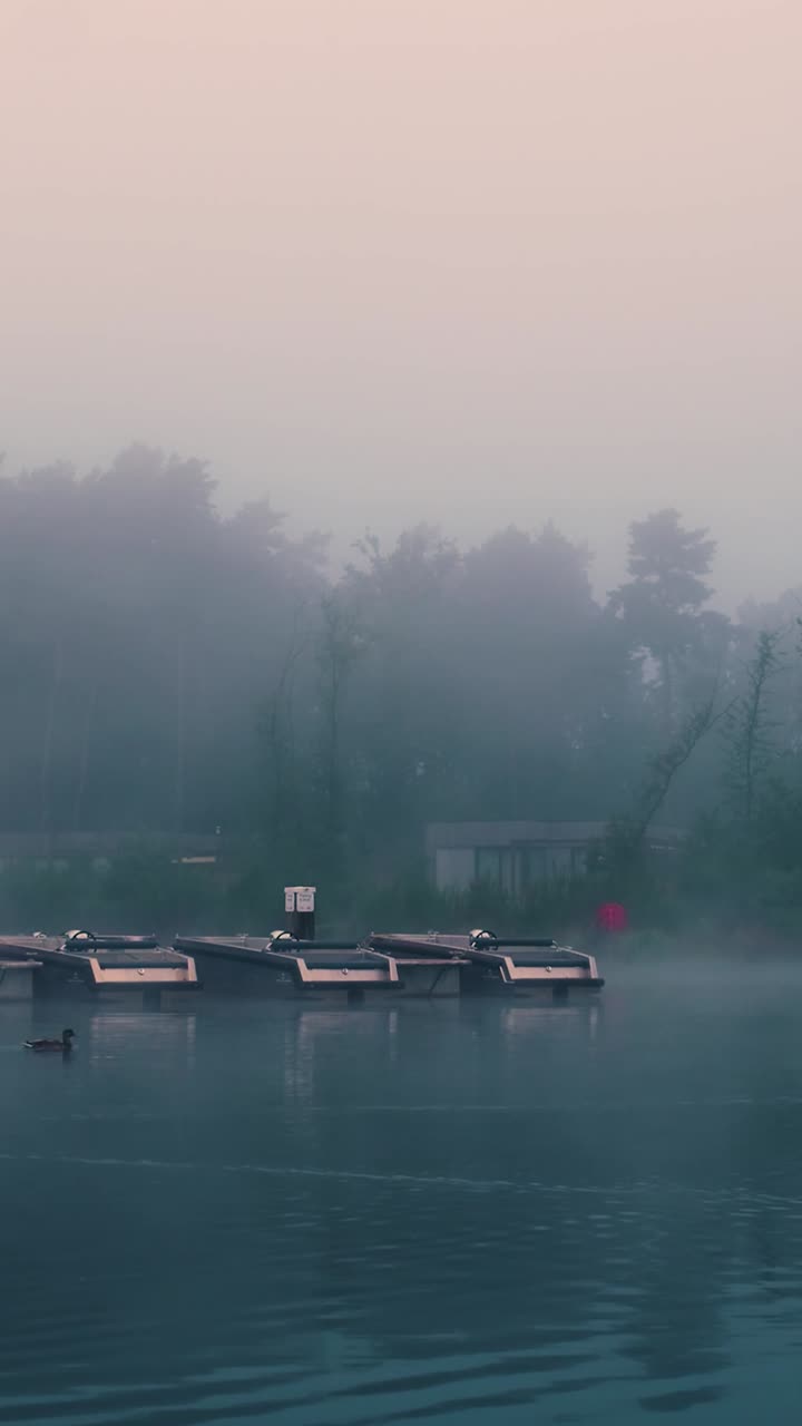 보트 와 오리 들 과 함께 호수 에 있는 안개 가 가득 한 아침